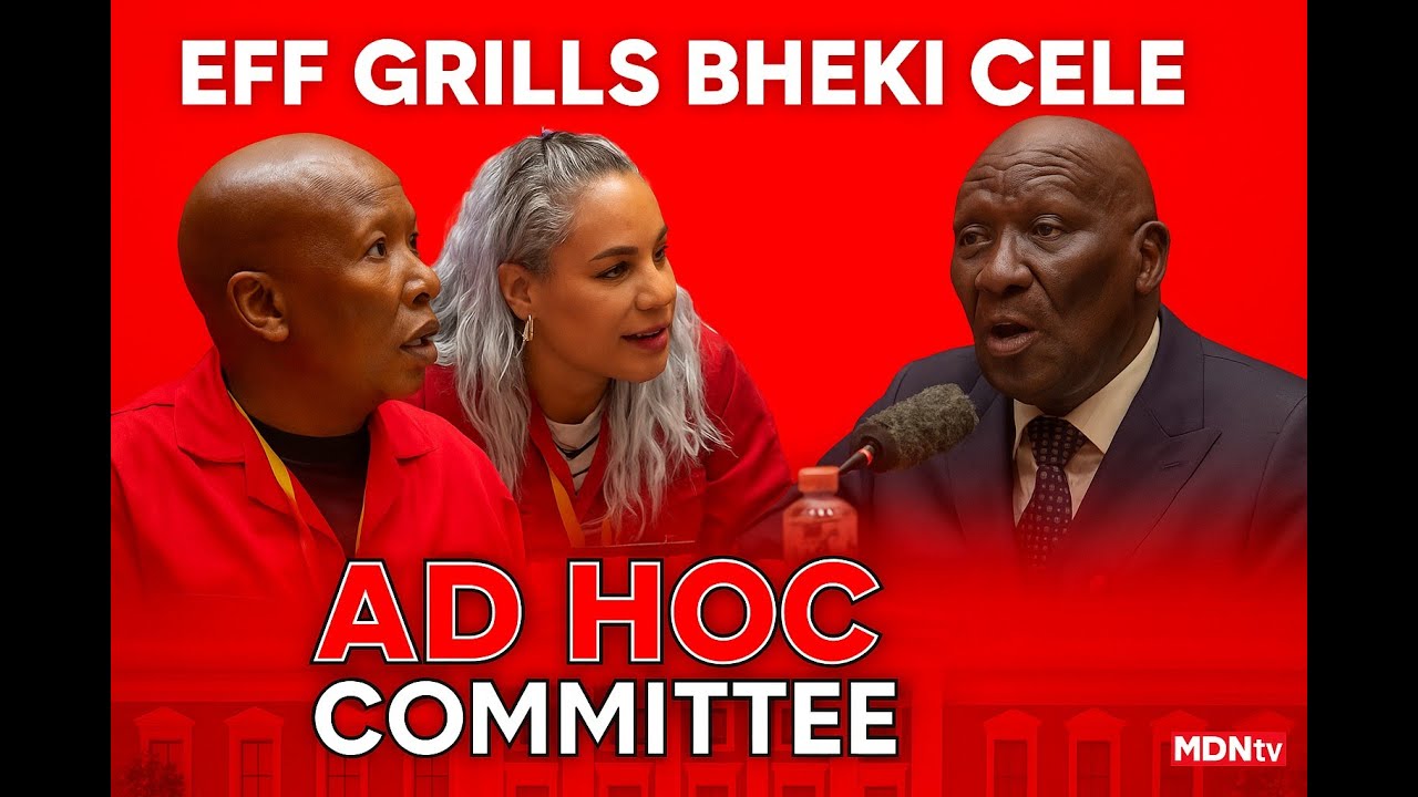 EFF GRILLS BHEKI CELE | Explosive Cross-Examination at Ad Hoc Committee