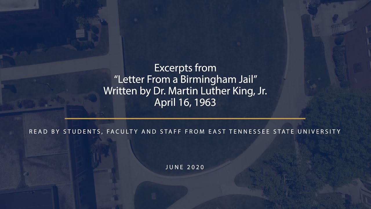 Excerpts from Dr. Martin Luther King, Jr.’s “Letter from a Birmingham Jail”