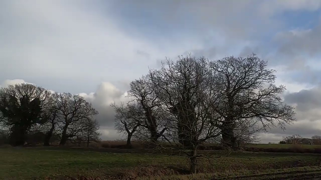 Watlington Beaters day 2026 dead pit part 5