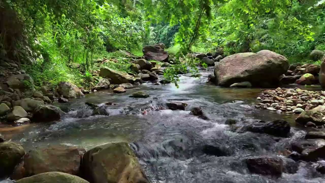 Relax Instantly & Sleep Better | Quiet Forest River Surrounded by Lush Greenery
