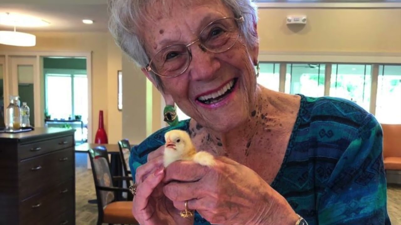 Animals Bring Us Joy!
