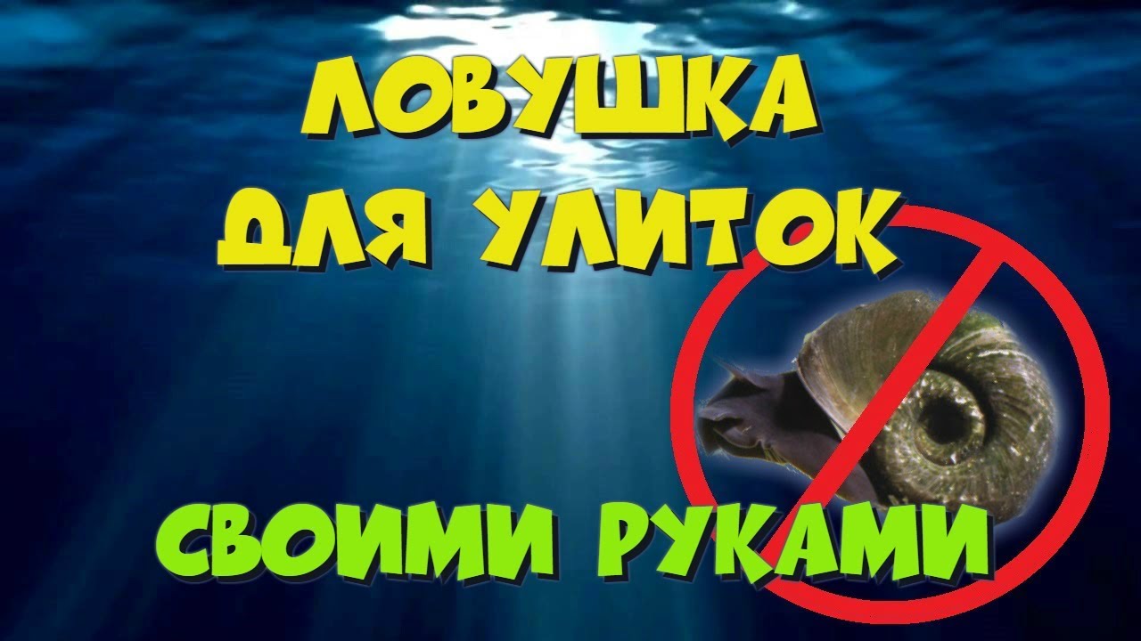 Ловушка для улиток своими руками - Часть 1