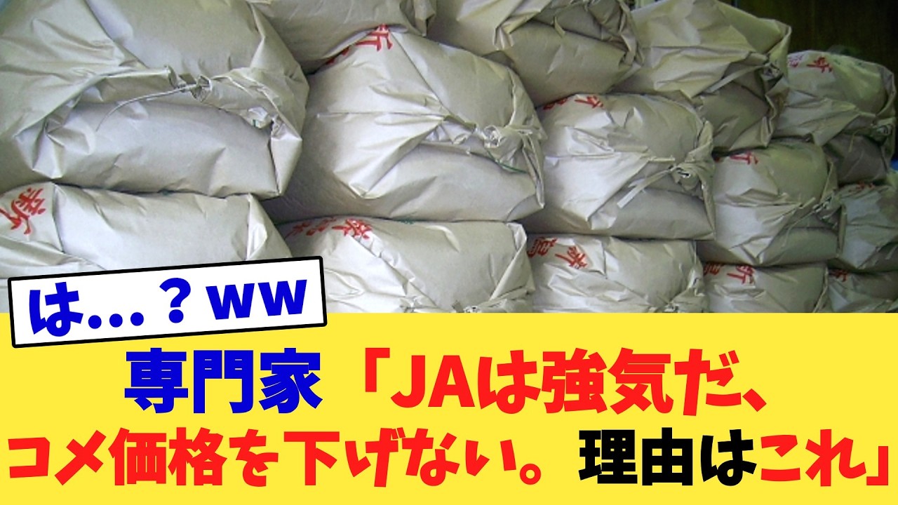 専門家「JAは強気だ、コメ価格を下げない。理由はこれ」