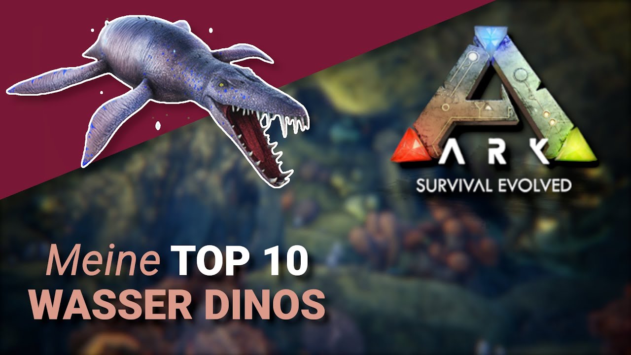 Die 10 BESTEN Wasser-