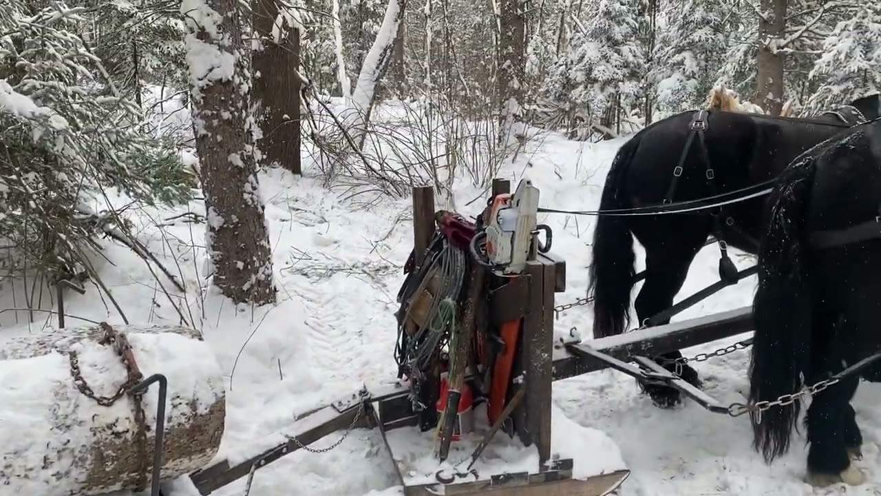 Sled and Scoot In Use