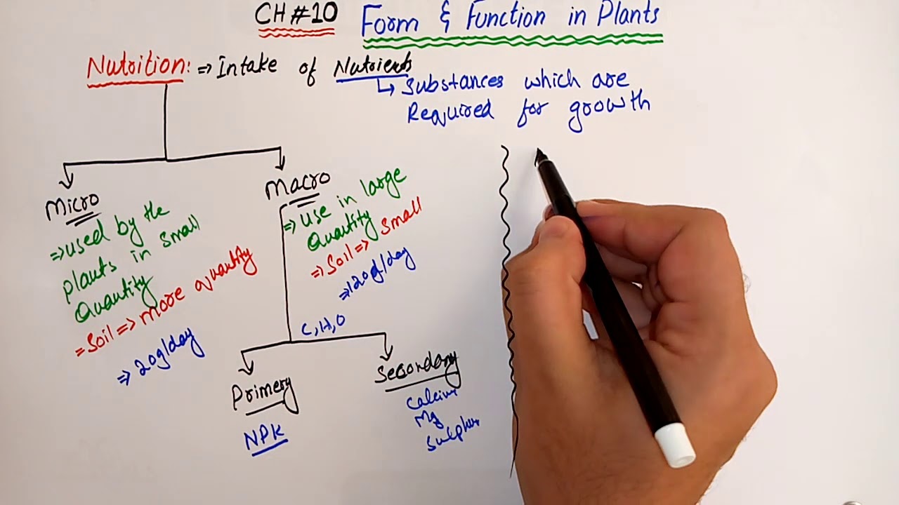 Nutriti:on in plants : Form & Function in plants