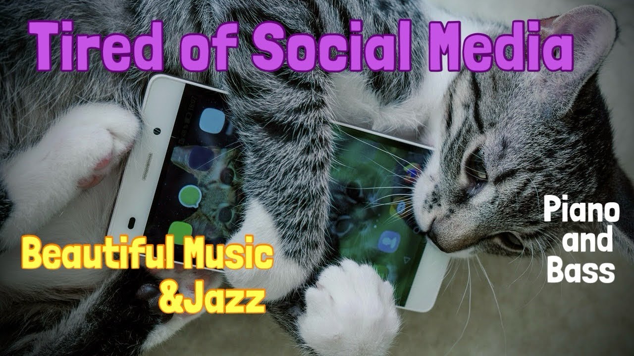 When You Get Tired of Social Media | Beautiful Music & Jazz | Piano & Bass