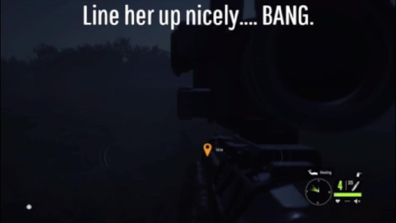 Crazy Treestand Black Bear Hunt