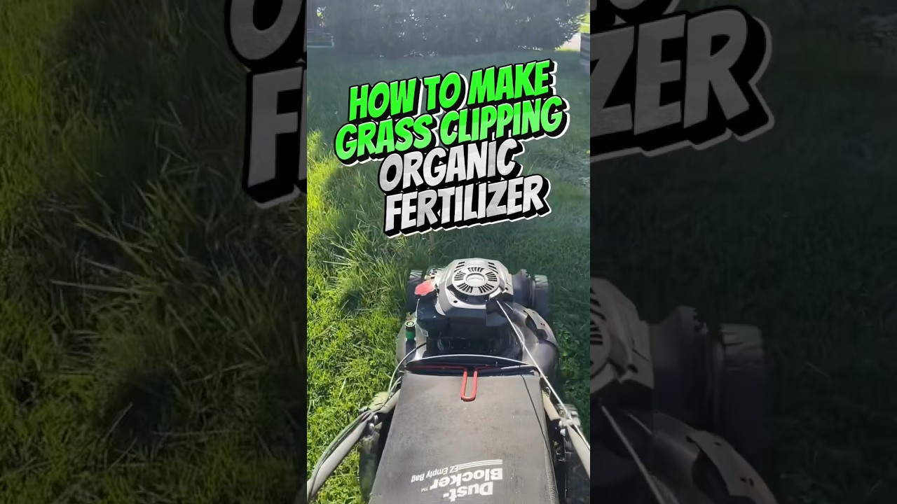 Come make an organic fertilizer out pf grass clippings with me! #grassclipping #organicfertilizer