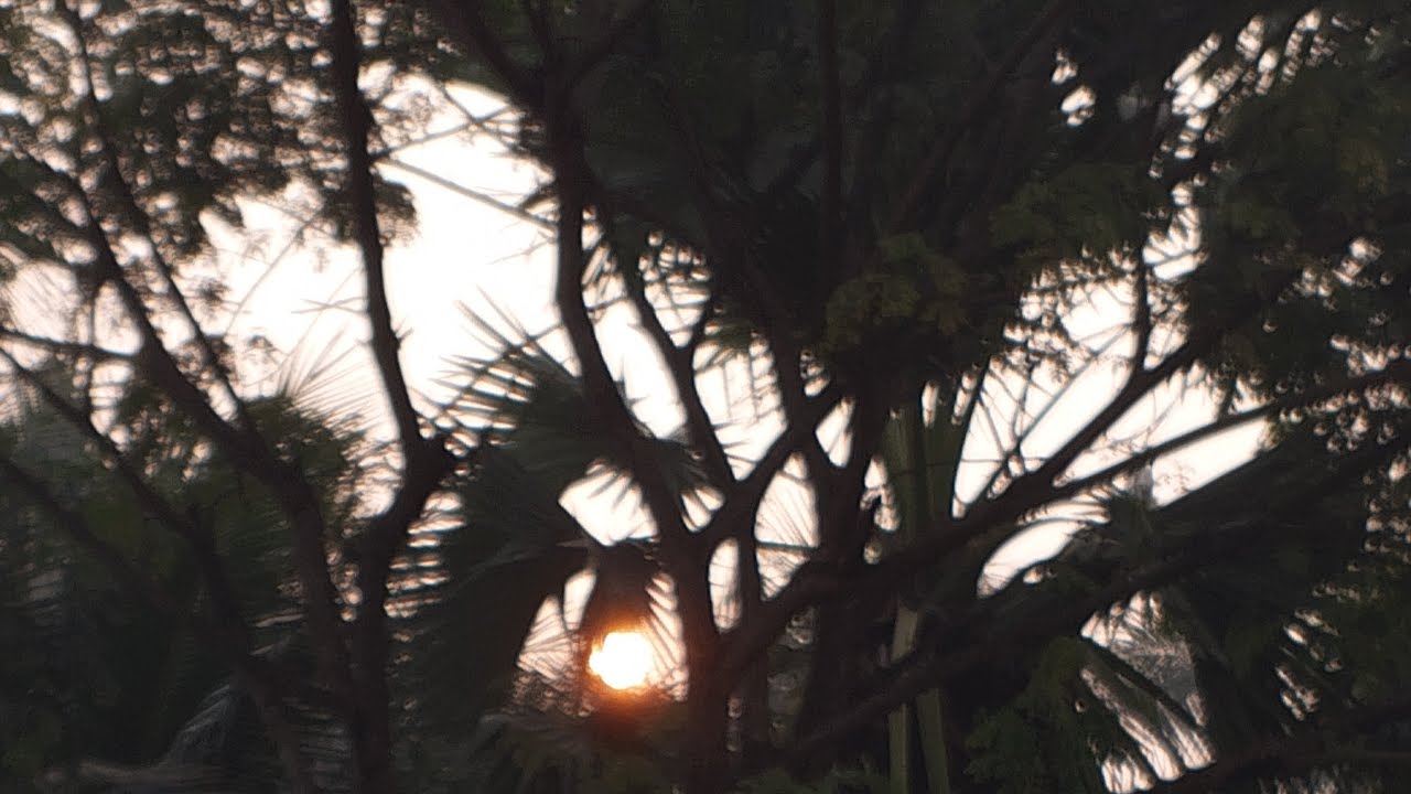 অনেকদিন পরে লাইভে আসলাম সবাই চলে আসেন।