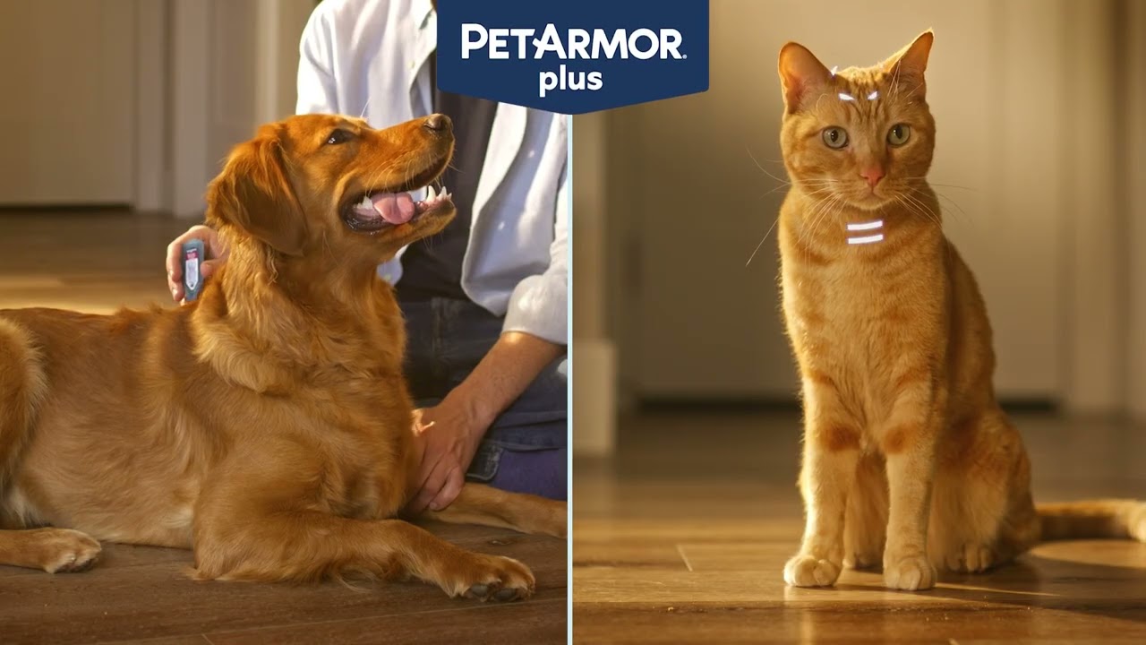 PetArmor Plus - Pets Work Hard