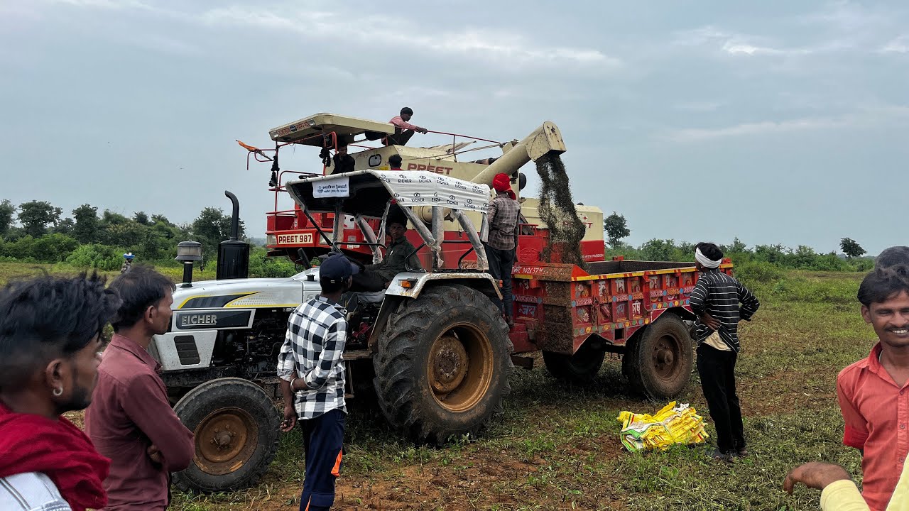 Black Gram (Urda) Harvesting By Preet Combine Harvester || King Combines UP94