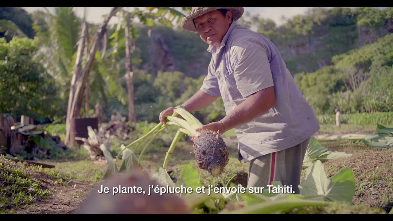 Fa’a Hotu : Épisode 10 : le taro