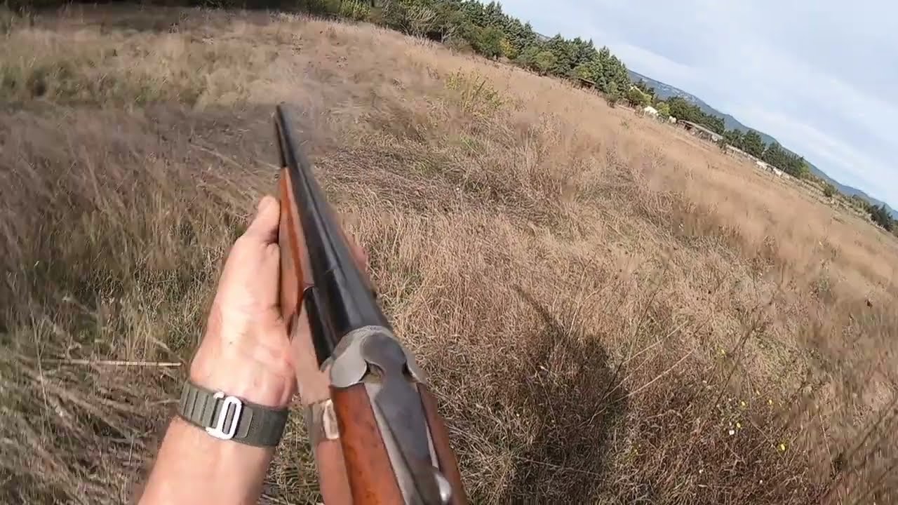 CHASSE AUX PIGEONS PALOMBES TOURTERELLES ET LAPINS A MALLEMORT 13