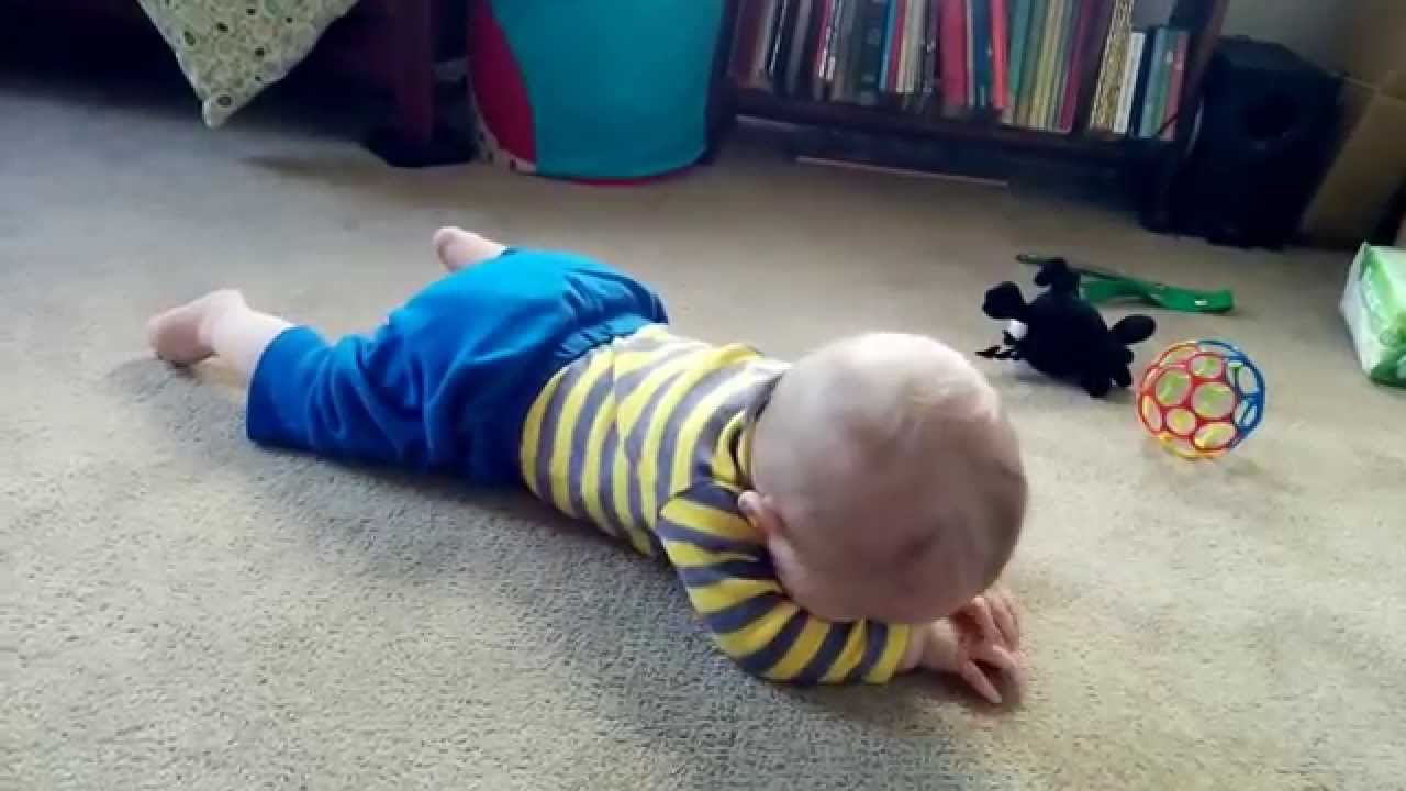 crawl (fan video)