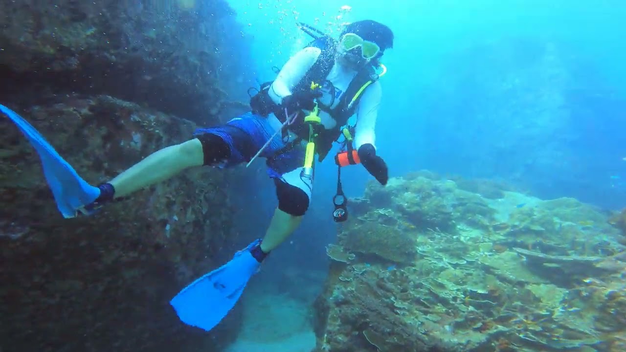 THIS Coral Reef is Even Better Than Expected - Scuba Diving