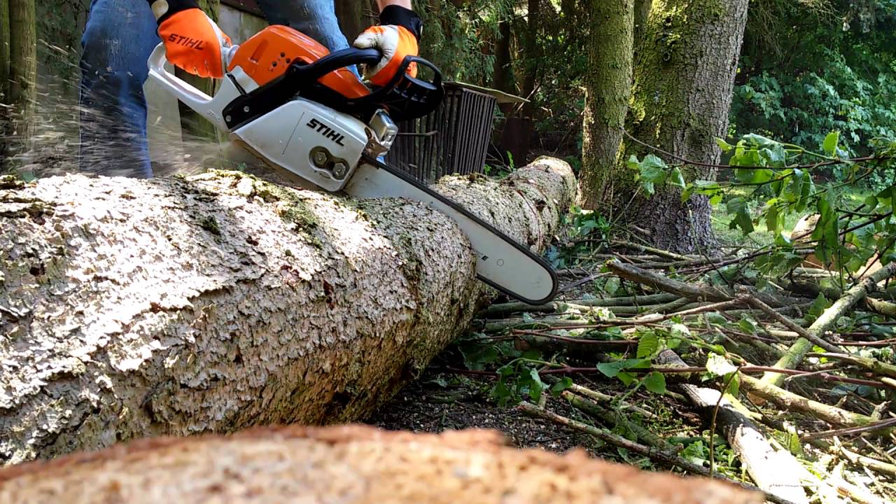 Bucking with STIHL MS 291.