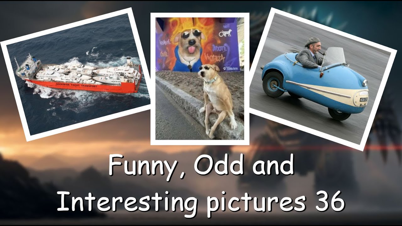 Funny, Odd, Interesting Pictures Video 36