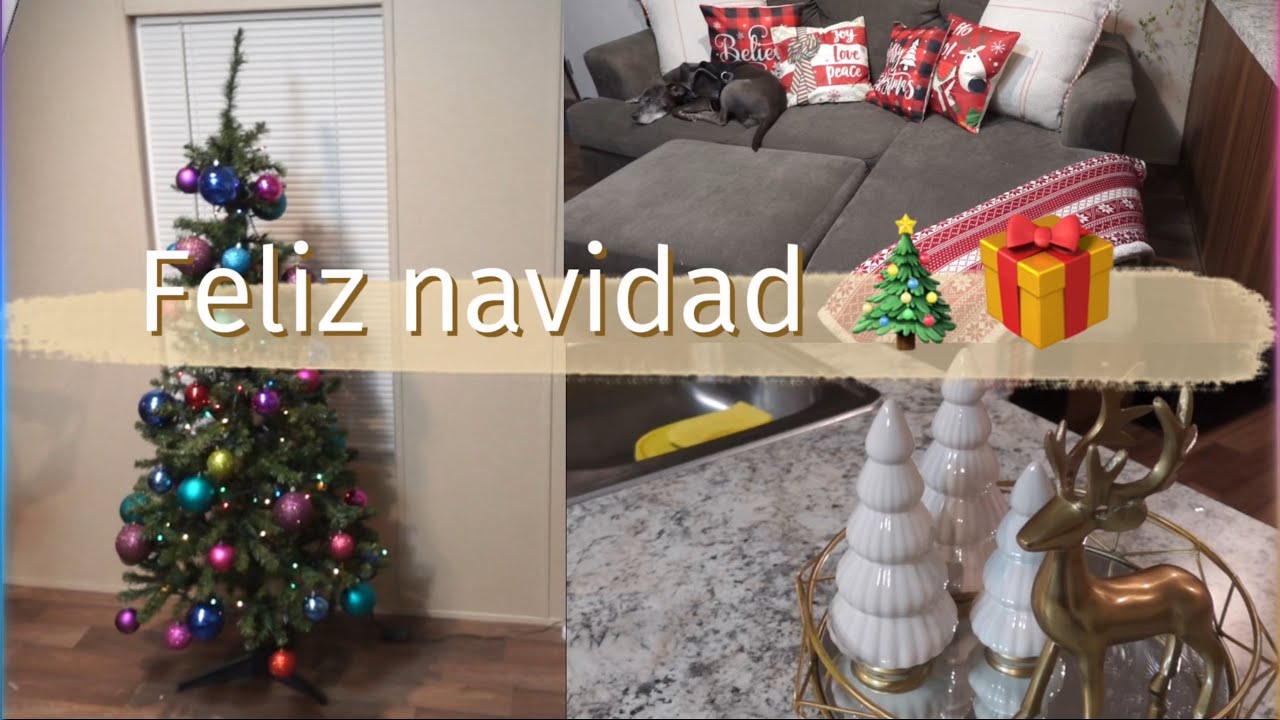 Adoptamos un gatito 🐱+decorando para navidad 