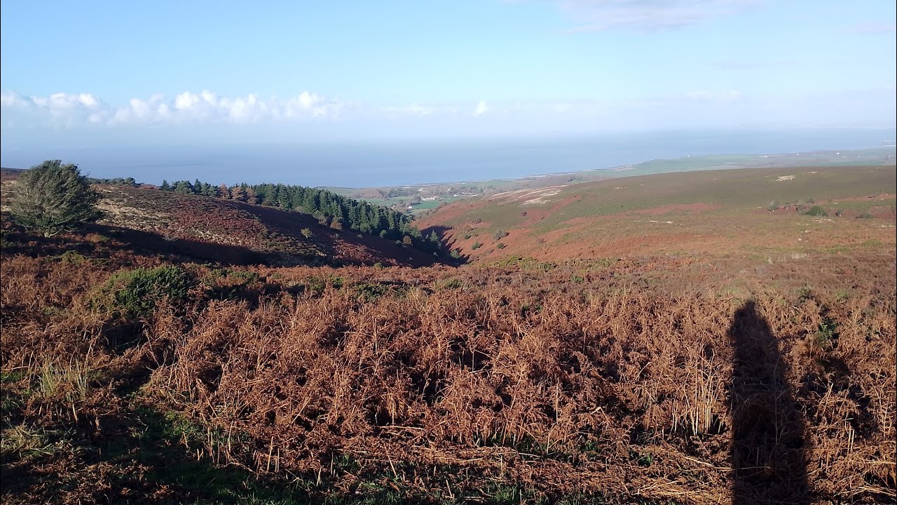 A Challenging Hike on  My Beautiful Quantock Hills in Autumn,a Snippet of the Coleridge Way, 'I walk