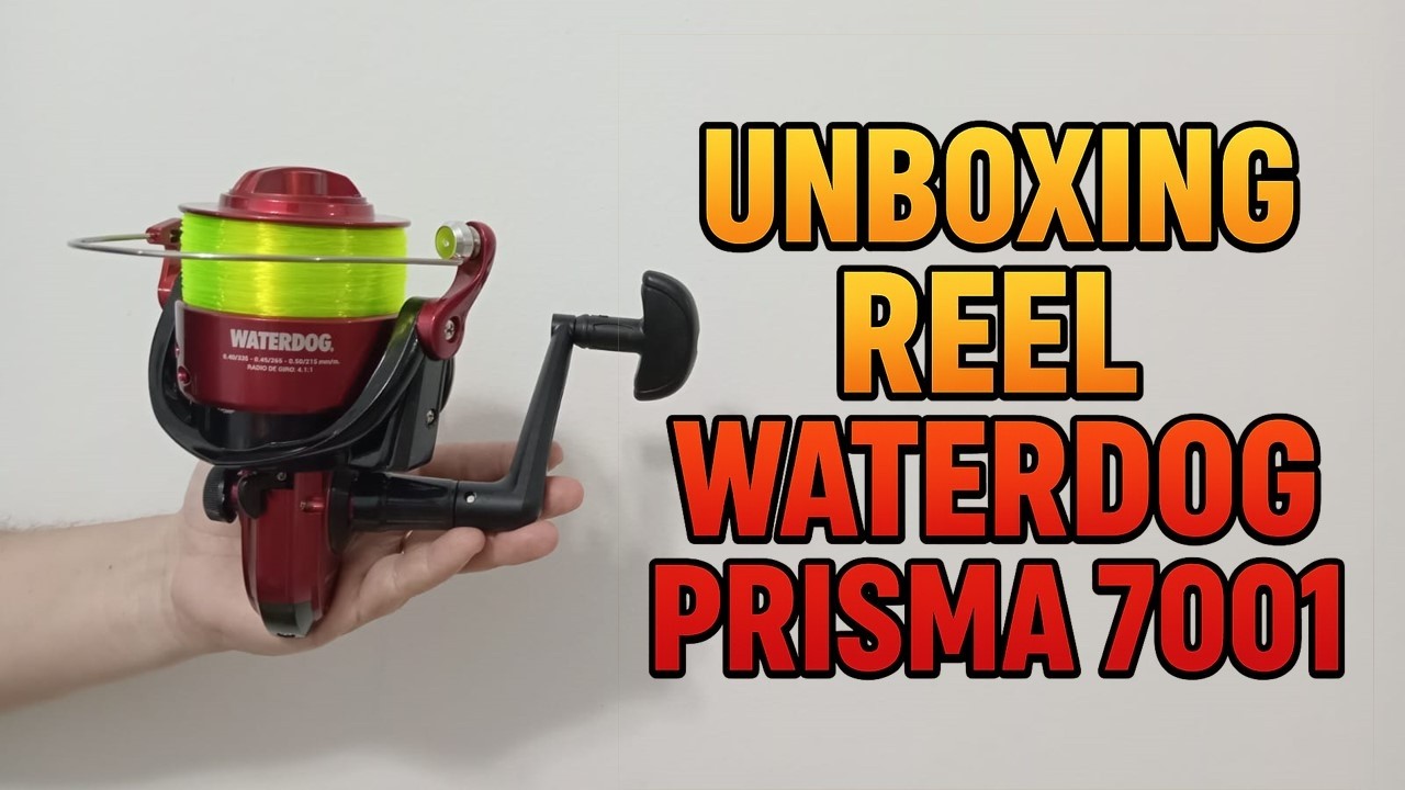 🎣 Unboxing del Reel Waterdog Prisma 7001 &ndash; Calidad a Bajo Precio