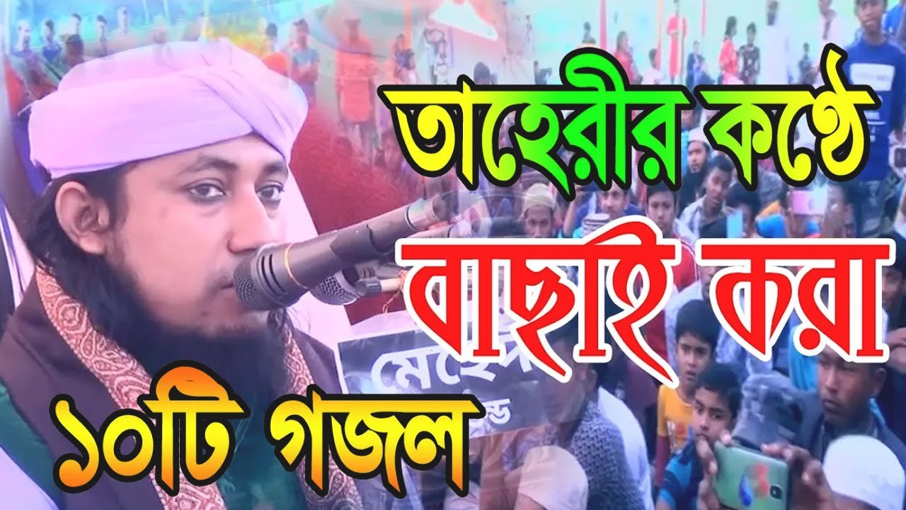 তাহেরীর বাছাই করা সেরা ১০টি গজল। taheri new song 2024। গিয়াসউদ্দিন তাহেরী @Habiganj_Media
