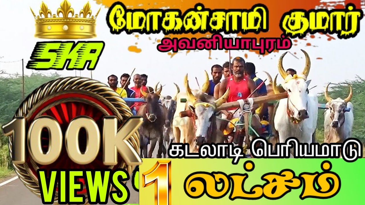 கடலாடி பெரிய மாடு(1,00,000) லட்சம் ராமநாதபுரம் மாவட்டம் 27.10.2021