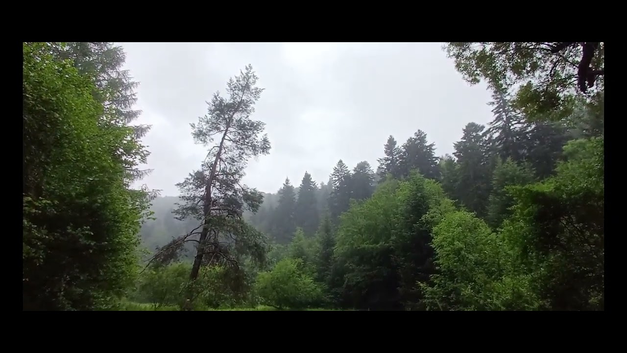 MUZYKA DESZCZOWEGO BESKIDU - Kasia Chrzan