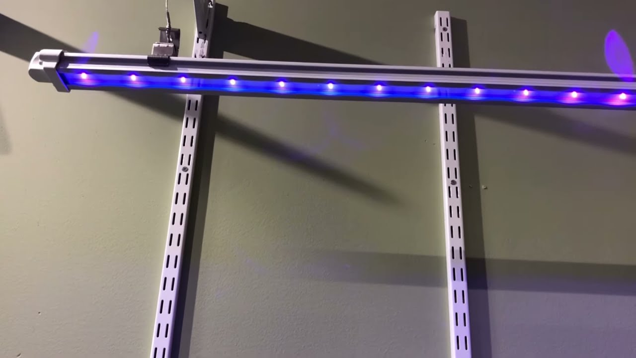 Forever Green Indoors / FGI Lighting Grow Lights FGI Research Grade 385nm UVA LED Grow Light