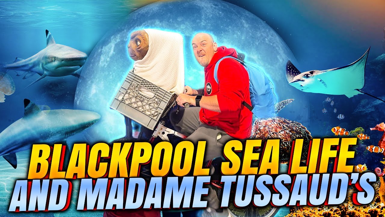 Sea Life & Madame Tussauds Blackpool Day 4 | The Rolling Rucks