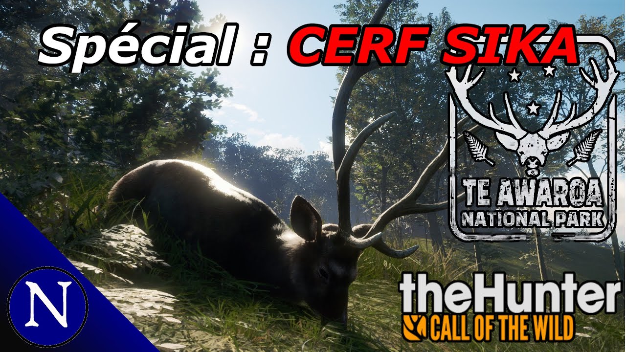 The Hunter COTW : Chasse aux Cerfs Sika !