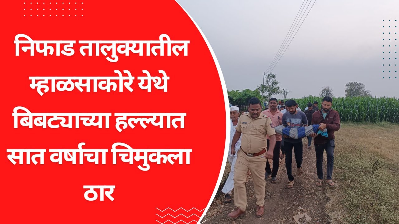 NASHIK | निफाड तालुक्यातील म्हाळसाकोरे येथे बिबट्याच्या हल्ल्यात सात वर्षाचा चिमुकला ठार #nashiknews
