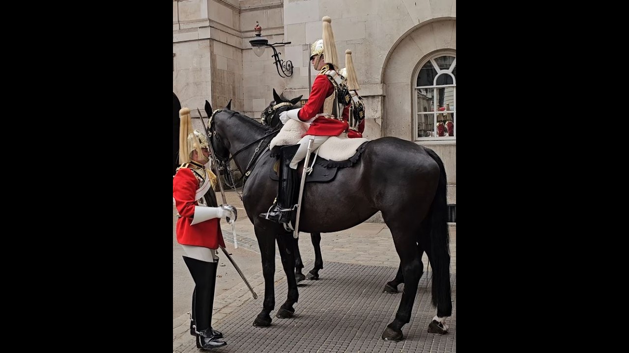 Royal Guards Live at horse guard in London