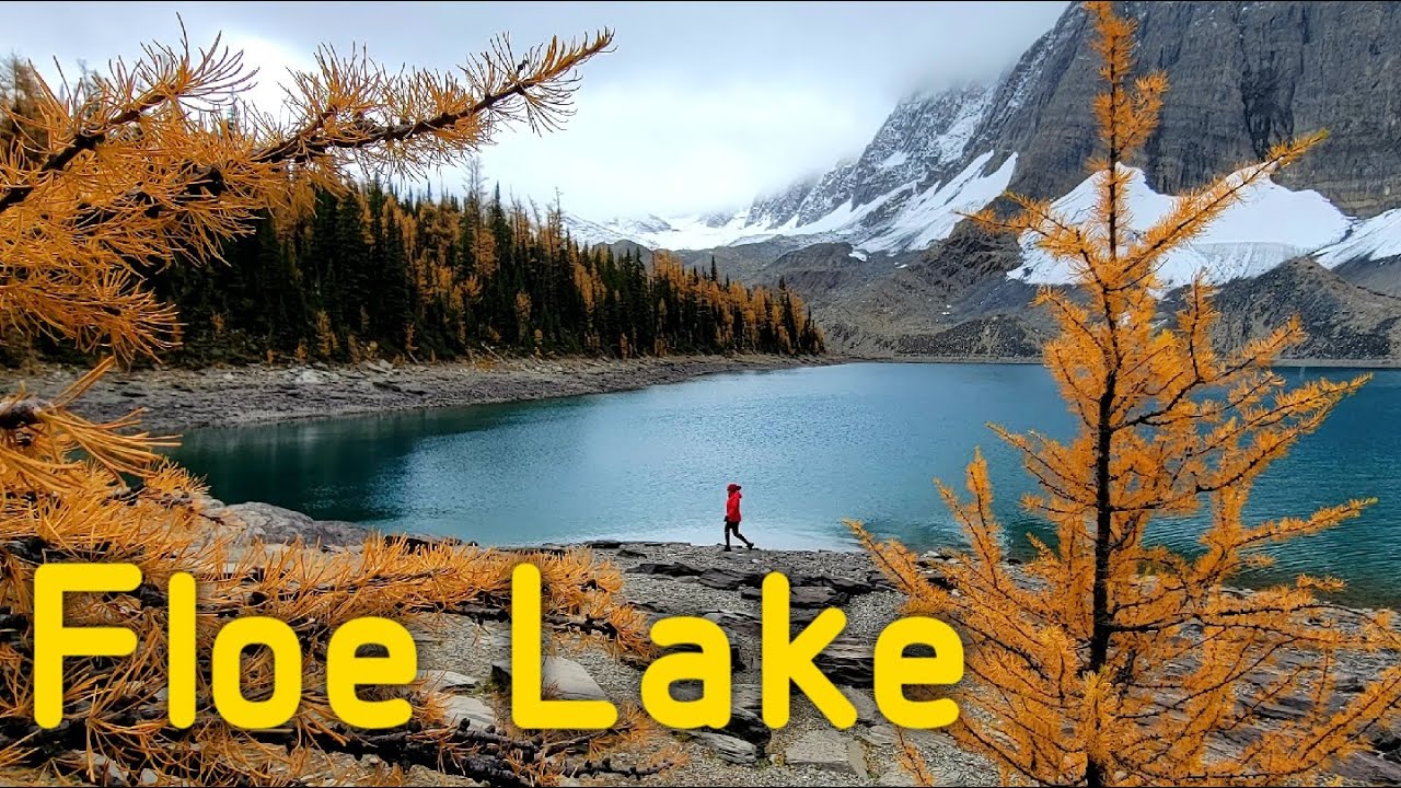 Floe Lake Trail Hike [How to get to Floe Lake] Kootenay National Park