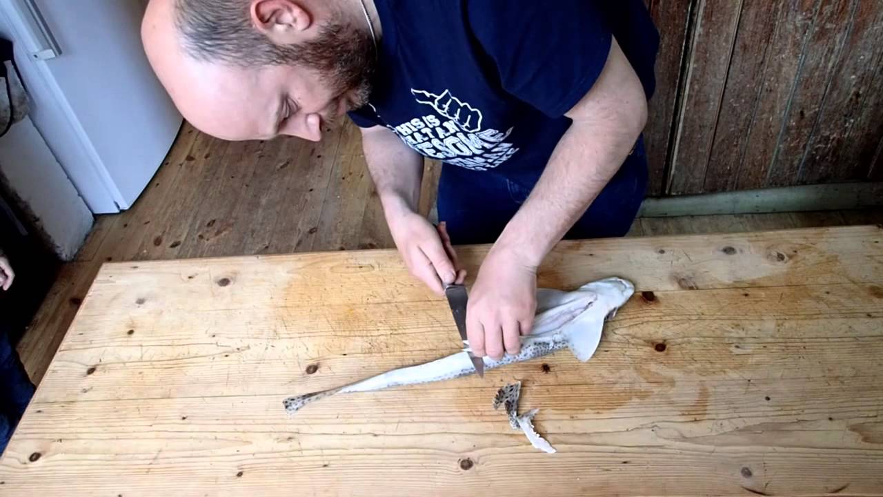 Cooking Fish: Skinning a Dogfish ready for cooking and eating