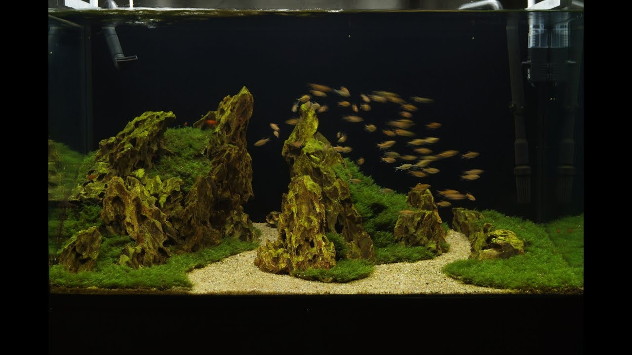 Dragon Hills (Драконьи Скалы)