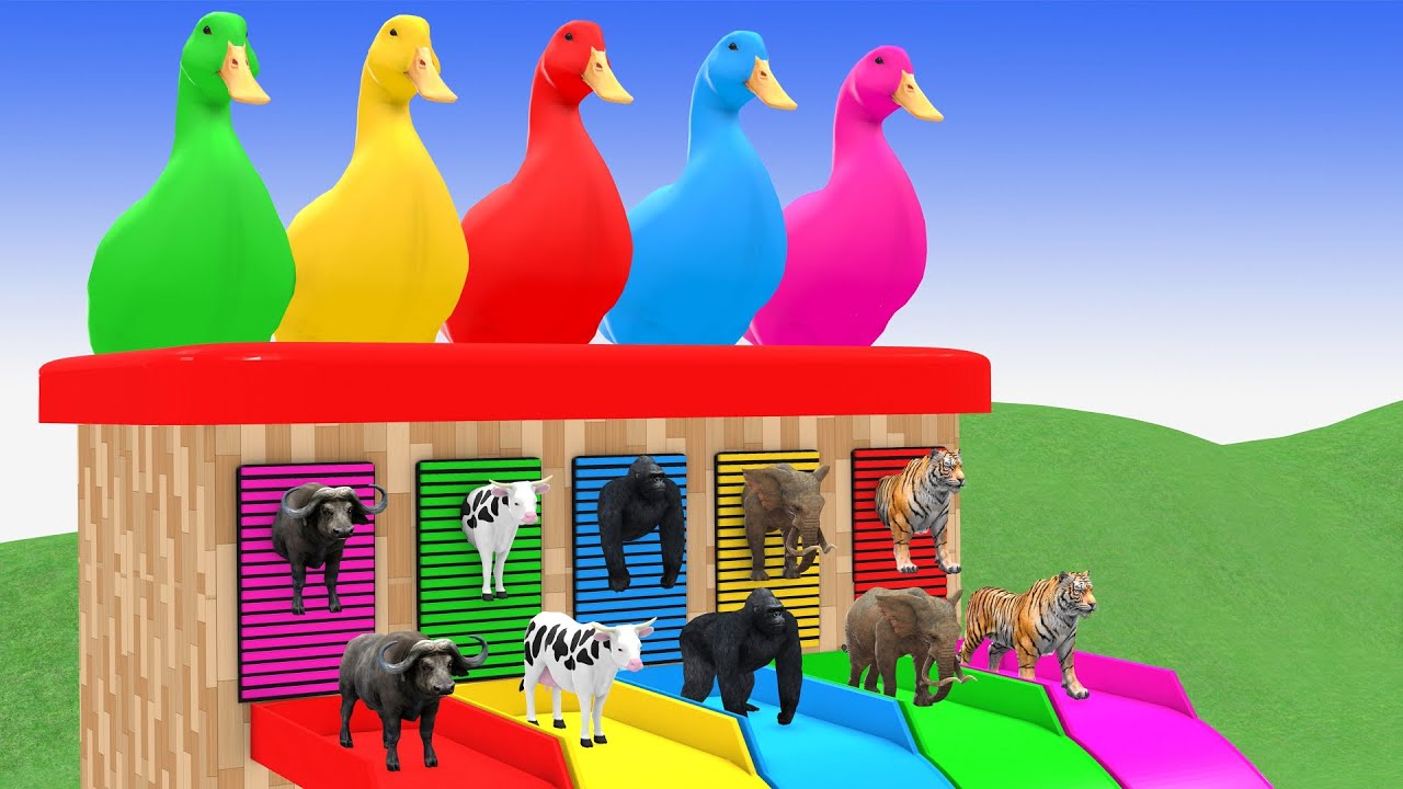 5 Giant Duck with bull white cow gorilla elephant tiger 2025