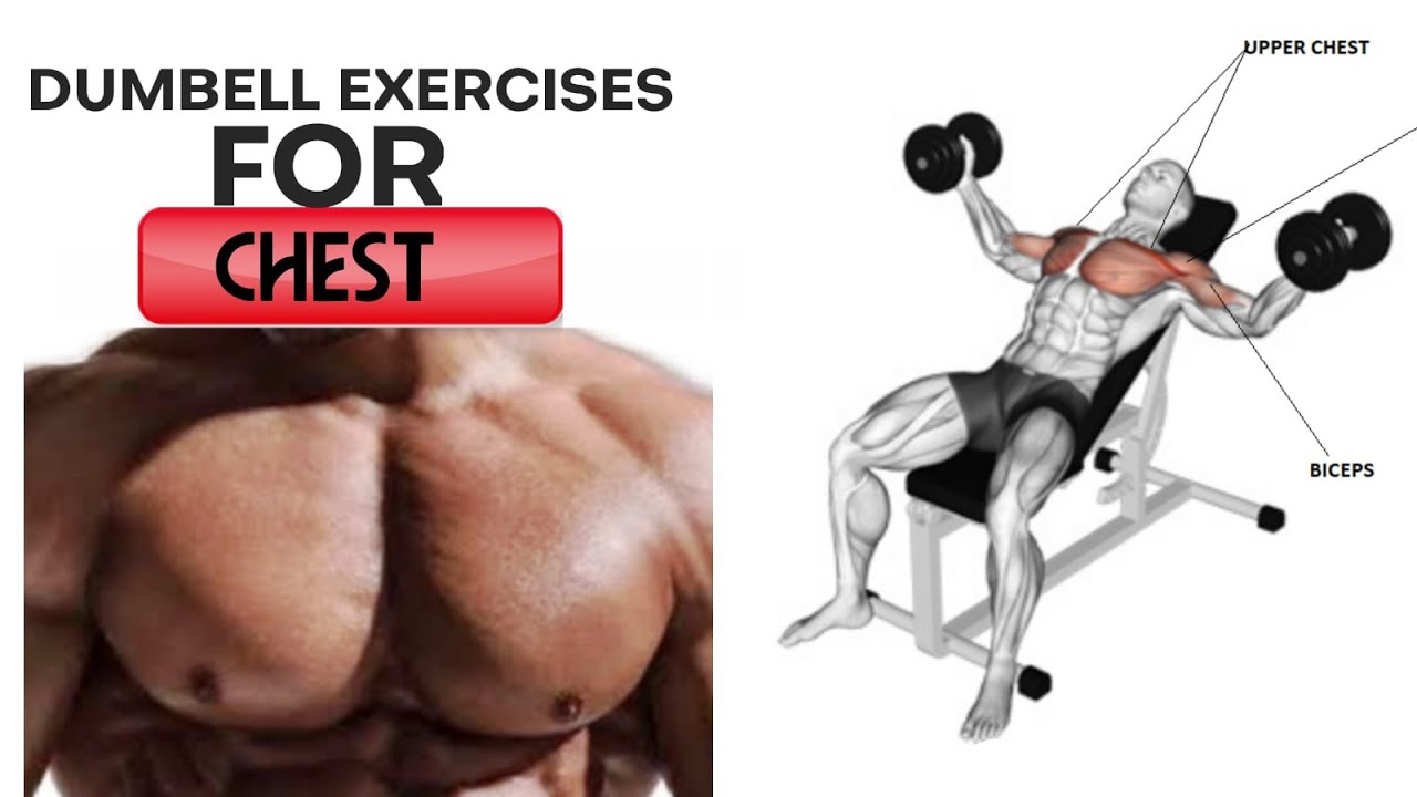9 Best Workout for Bigger Chest Dumbbell Only