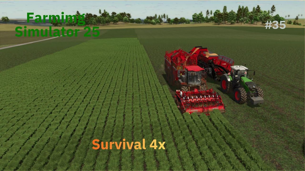 Survival 4x, 4.8 MILLION Carrots Harvested & 60 Ha Cotton Harvest Begins |Farming Simulator 25