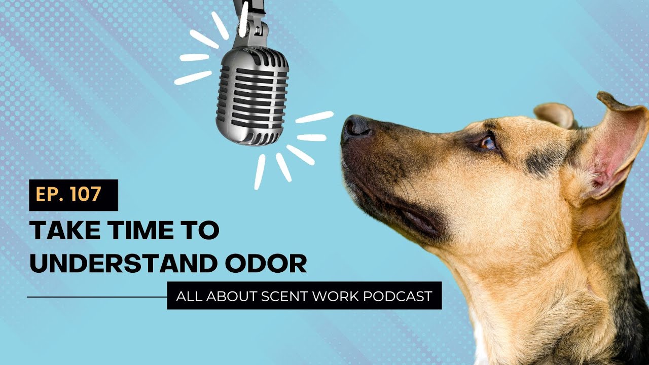 Ep. 107: Take Time To Understand Odor