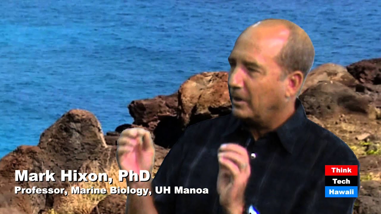Caring About Coral - Ruth Gates, Robert Richmond and Mark Hixon