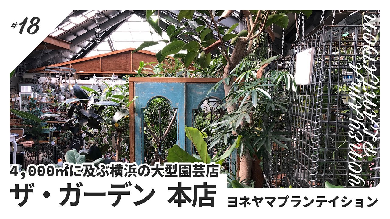 【VLOG】珍しい園芸用品・植物が格安で手に入る夢の庭「ザ・ガーデン本店　ヨネヤマプランテイション」訪問｜神奈川県横浜市の園芸店