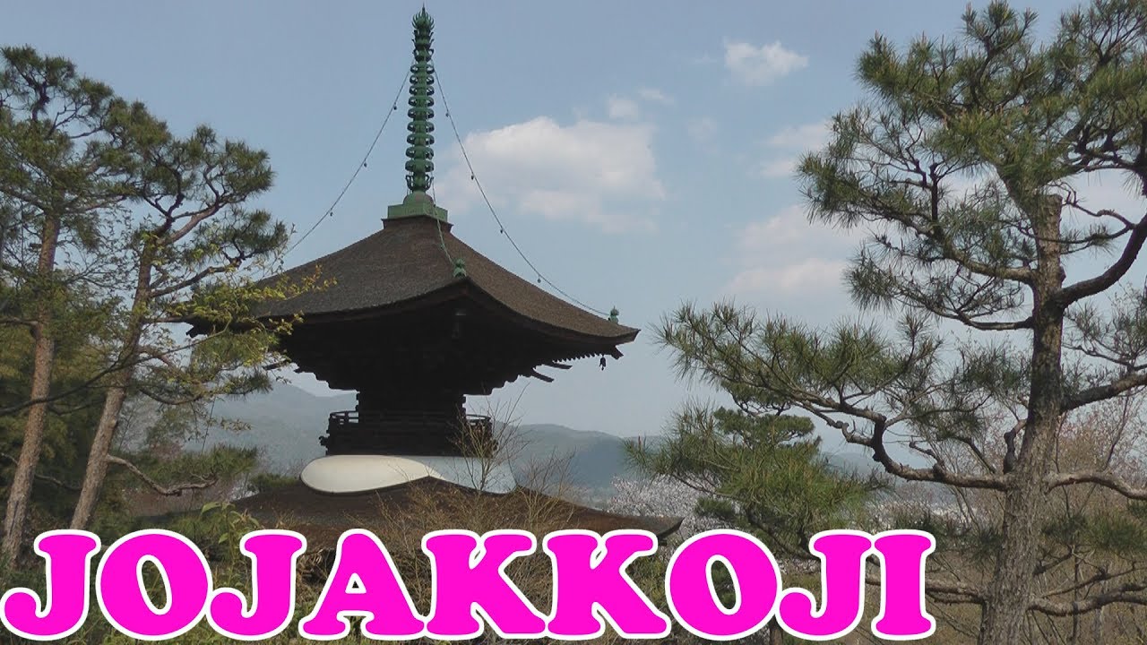 Jojakkoji Temple, Kyoto in Cherry Blossom Season 🌸 常寂光寺●京都嵐山 🌸 Japan As It Truly Is