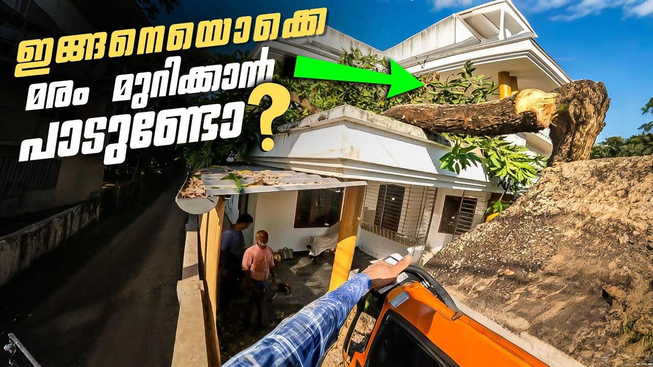 Interlock ഇട്ടിടത് ‼️ മരം മുറിക്കുമ്പോൾ ഇങ്ങനെ ചെയ്ത് നോക്കു... ‼️ Tree cutting | Village woodpecker