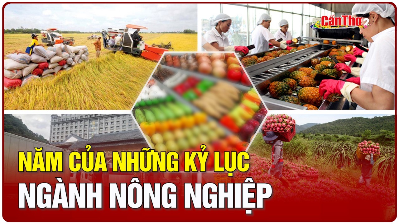 Nông nghiệp Việt Nam chuyển mình từ 
