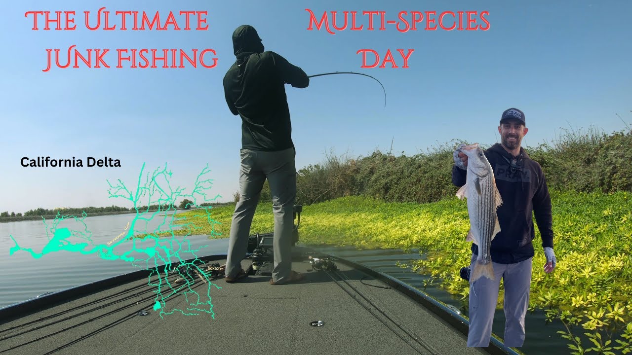 We Used Everything and It Worked! California Delta Bass Action