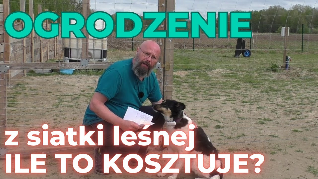 Ogrodzenie z siatki leśnej cz. 5 z 5 - ile to kosztuje?