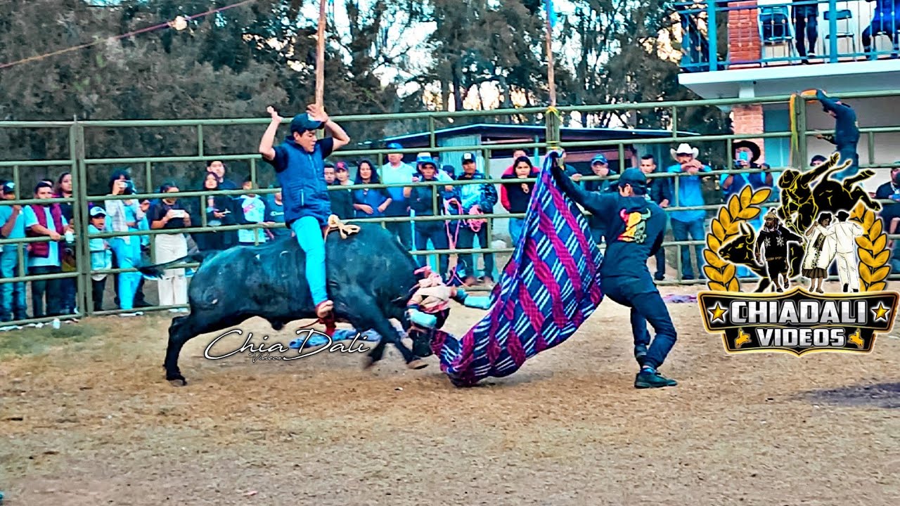 JARIPEO RANCHERO EN SAN BALTAZAR YATZACHI EL BAJO FEBRERO 2023