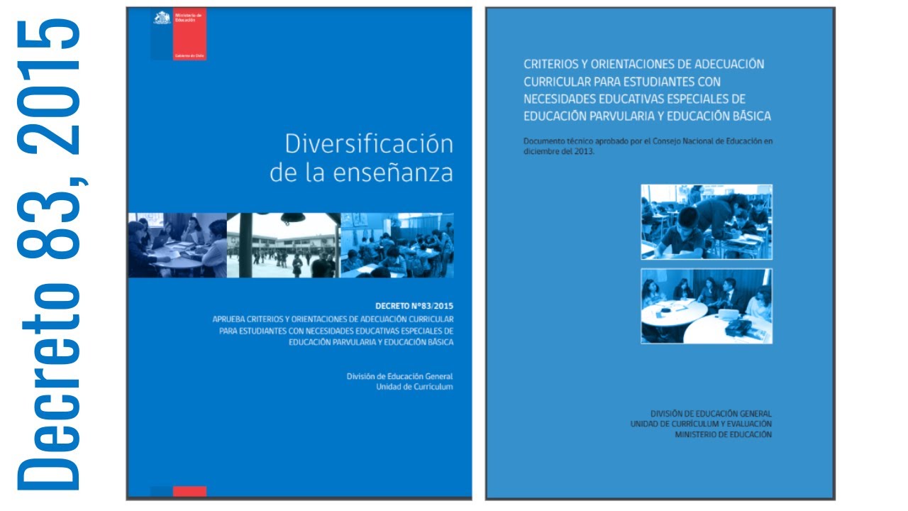 Los Principios Orientaciones del decreto N° 83