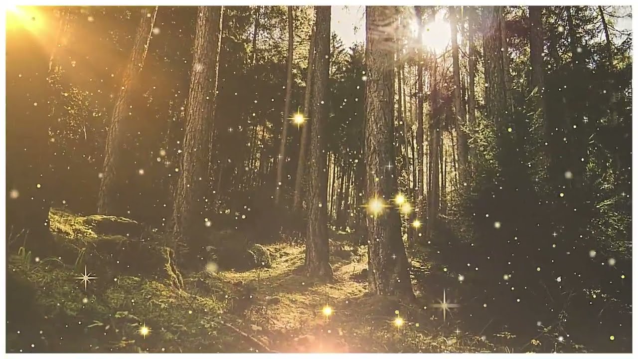 Қойшы еркек күтпеген жағдайға тап болды — бәрі шок ішінде 😱